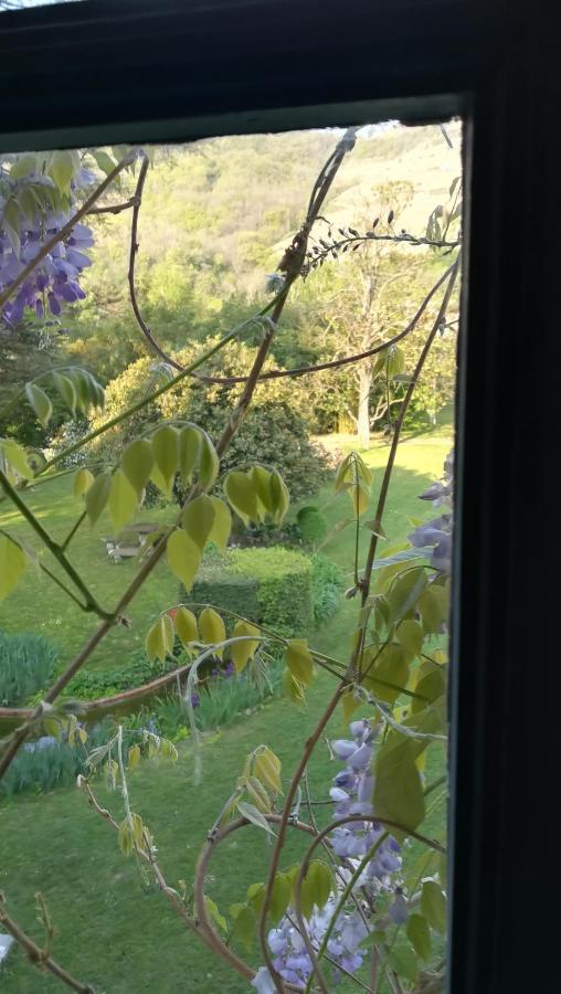 Les Palmiers Panzió Mauves Kültér fotó
